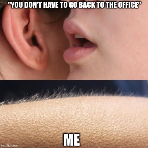 Work From Home - WFH Memes - Giggle Memes