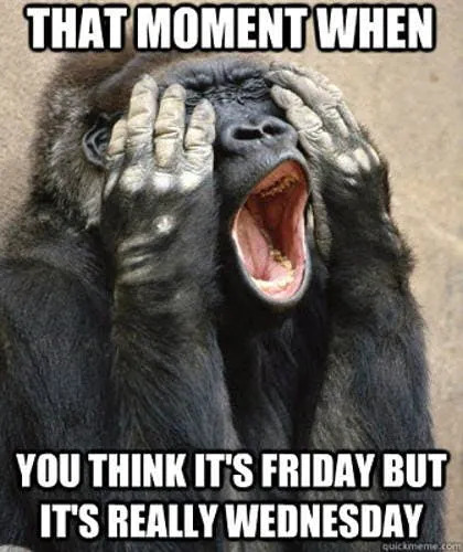 Giggle Memes - Office Memes