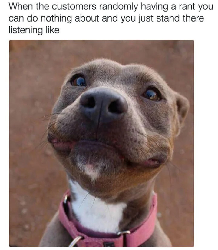Funny Memes - Giggle Memes