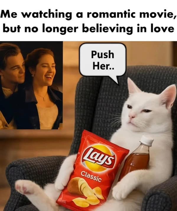 Cat Memes - Giggle Memes