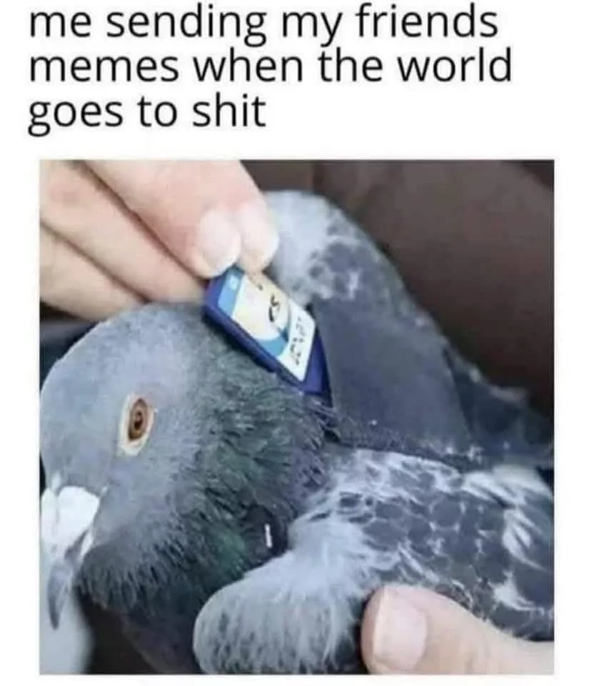 Giggle Memes - Epic Fails