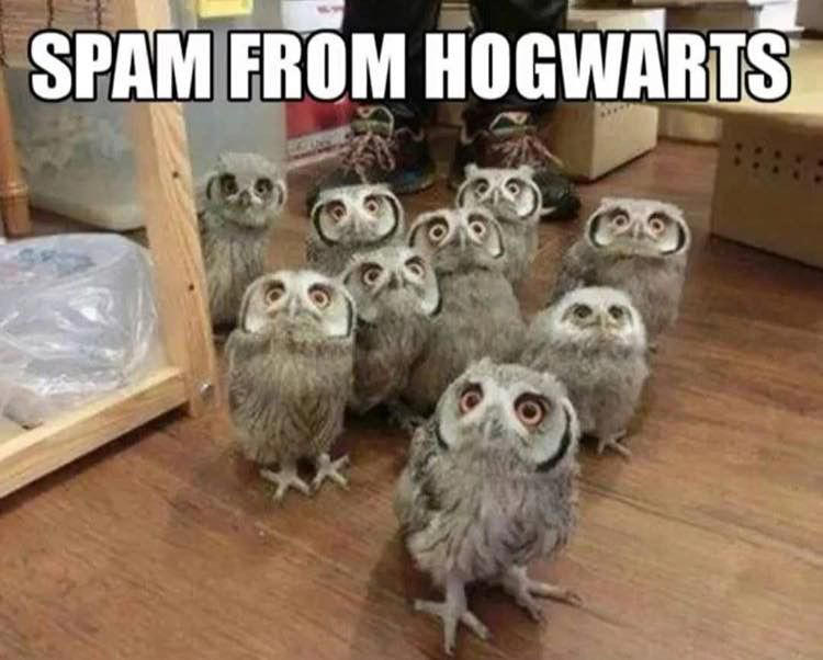 Giggle Memes - Harry Potter Memes