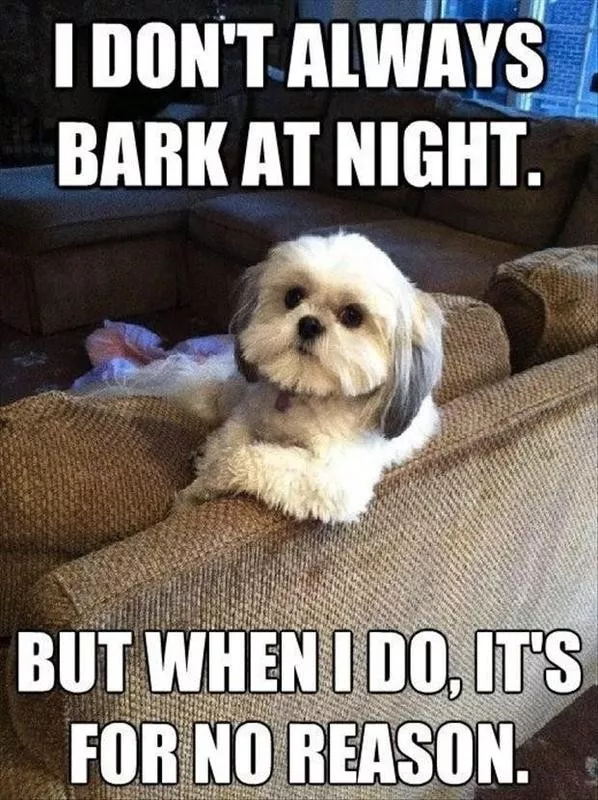 Animal Dog Memes - Giggle Memes