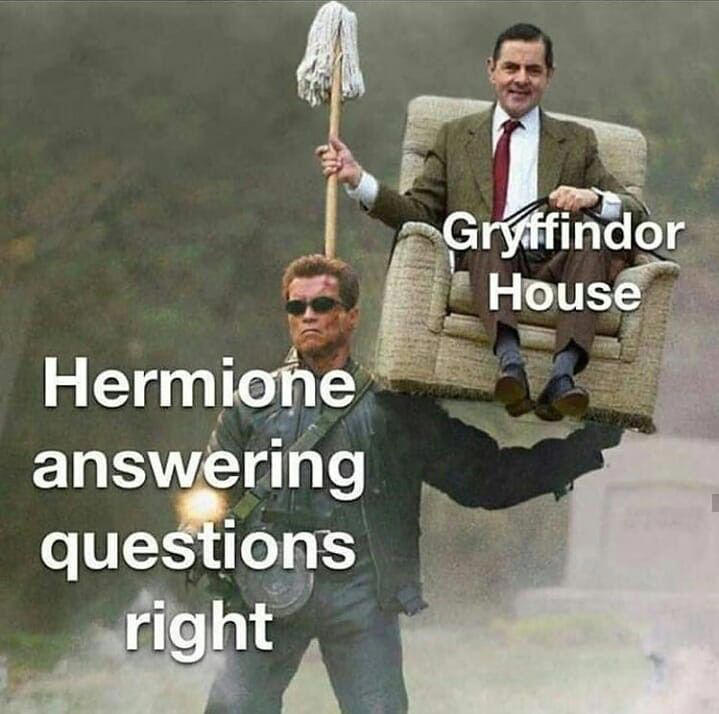 Giggle Memes - Harry Potter Memes