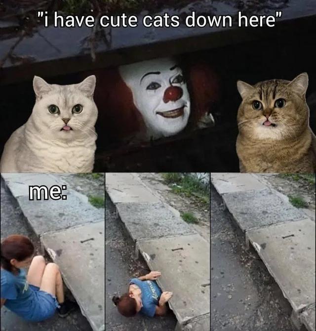 Cat Memes - Giggle Memes