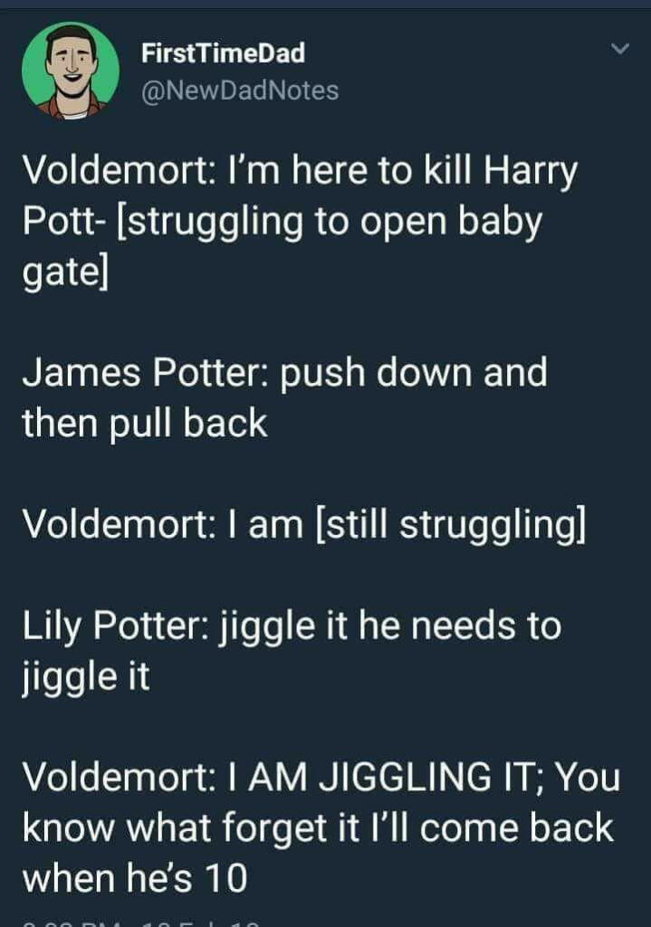Giggle Memes - Harry Potter Memes