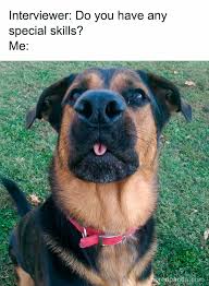 Animal Dog Memes - Giggle Memes