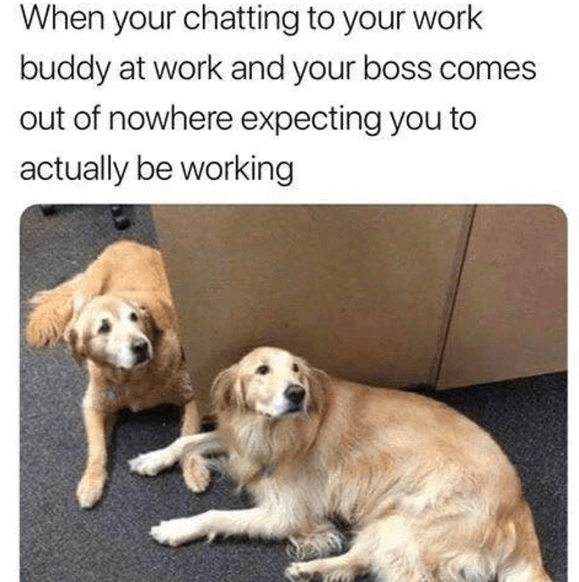 Giggle Memes - Office Memes