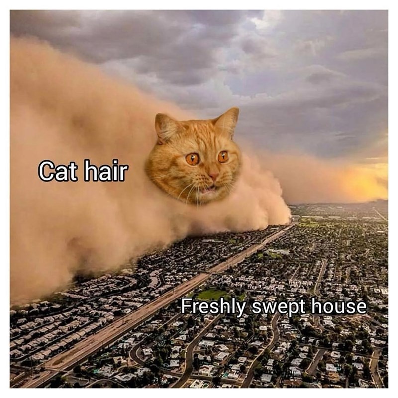 Funny Memes - Giggle Memes