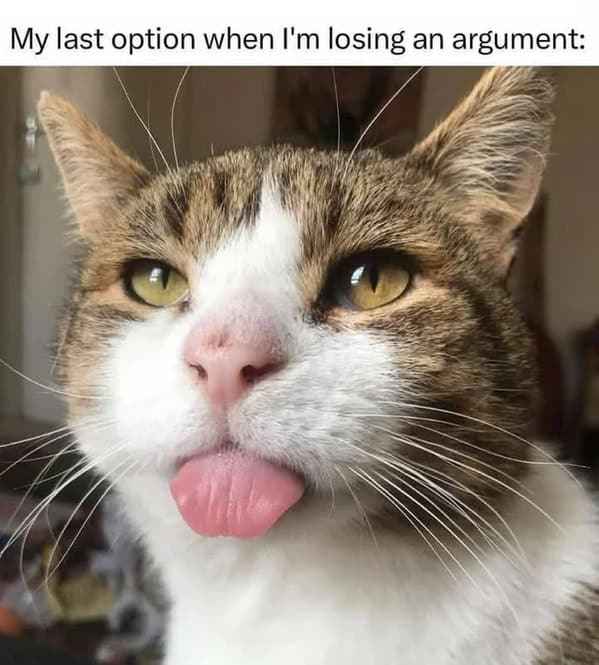 Cat Memes - Giggle Memes