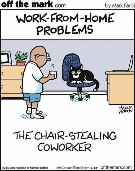 Giggle Memes - Work 
 For Home - Office Memes