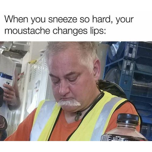 Giggle Memes