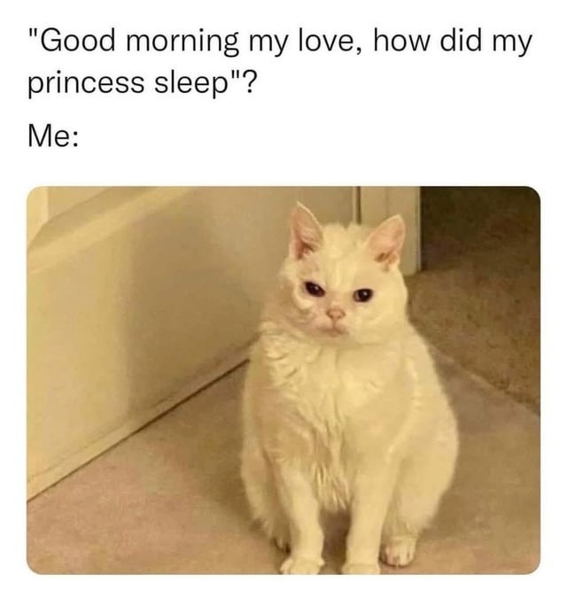 Giggle Memes - Girlfriend / Relationship Memes