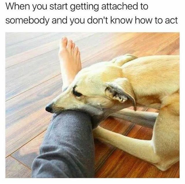 Flirty Memes - Giggle Memes