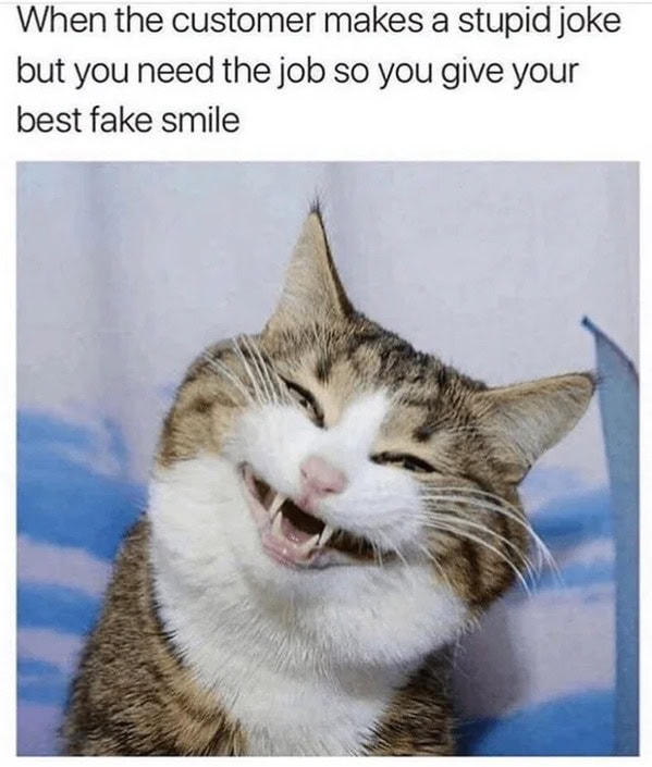 Cat Memes - Giggle Memes