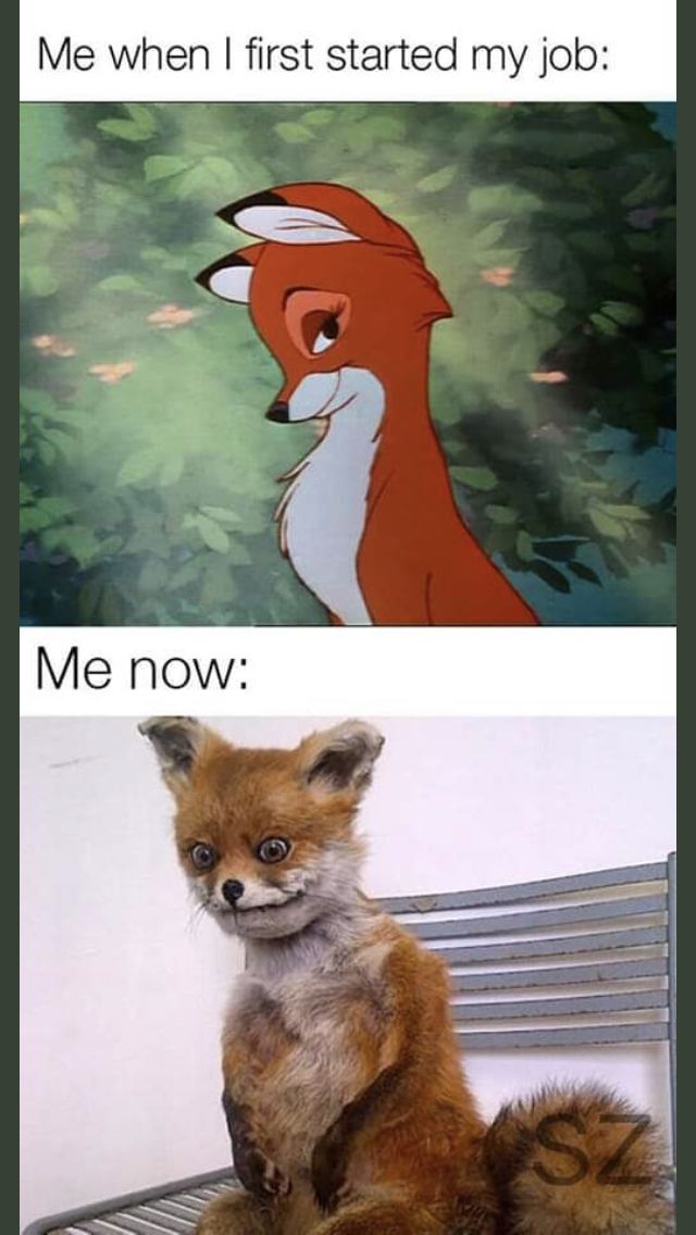 Giggle Memes - Office Memes