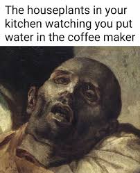 Funny Memes - Giggle Memes